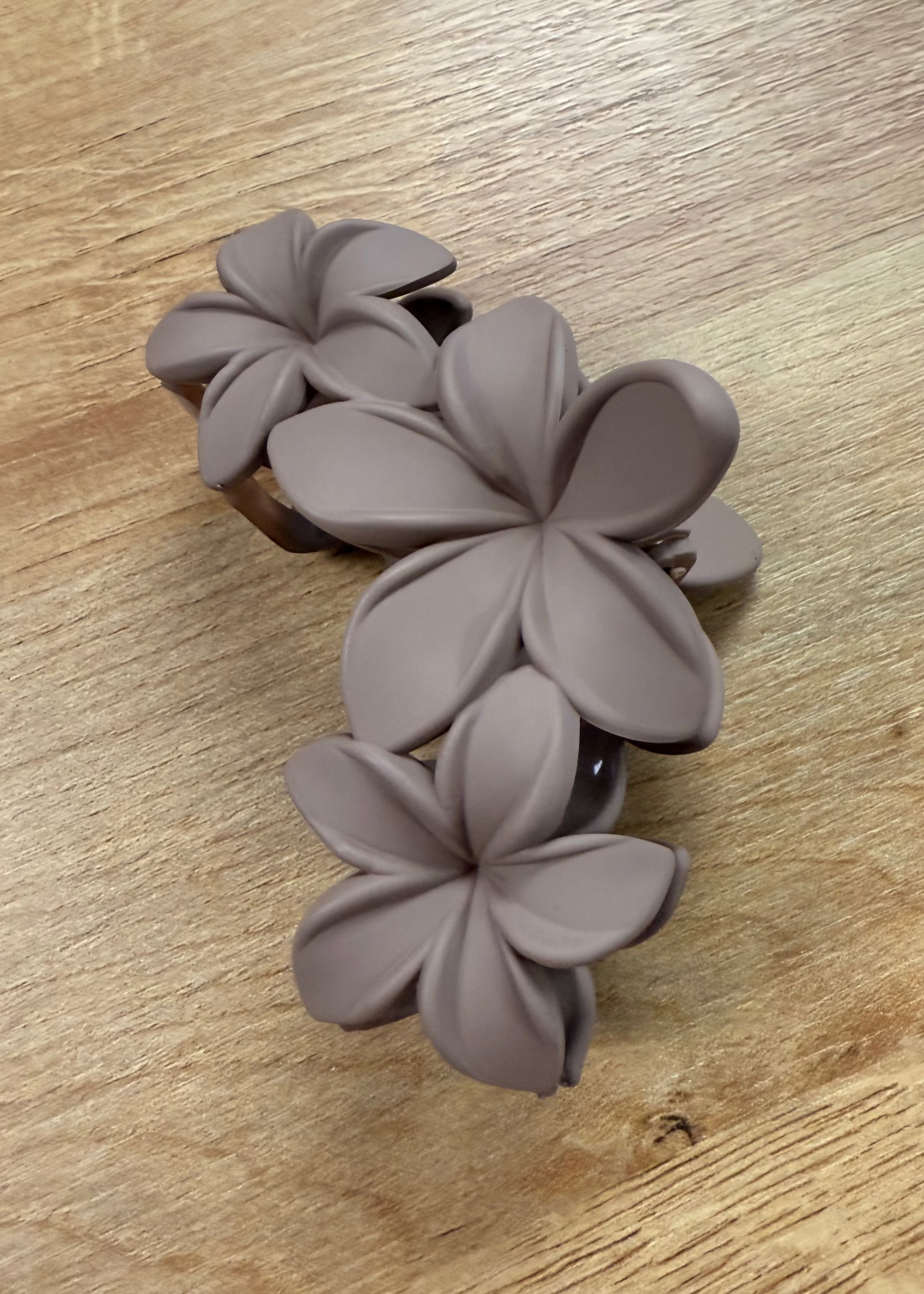 Plumeria Clutch Hair Claw Clip