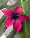 Close-up of a bright pink flower with a green leaf background