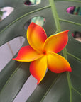 Orange and yellow flower with green leaves in the background
