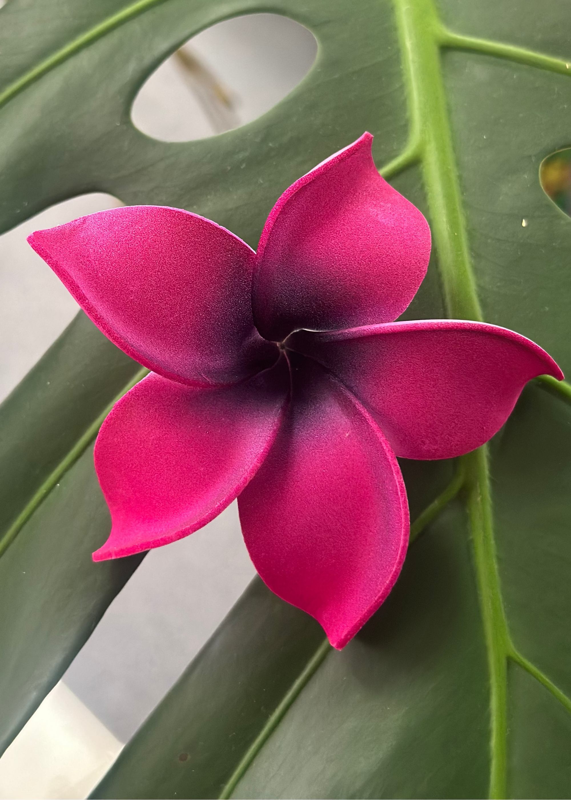 Close-up of a bright pink flower with a green leaf background