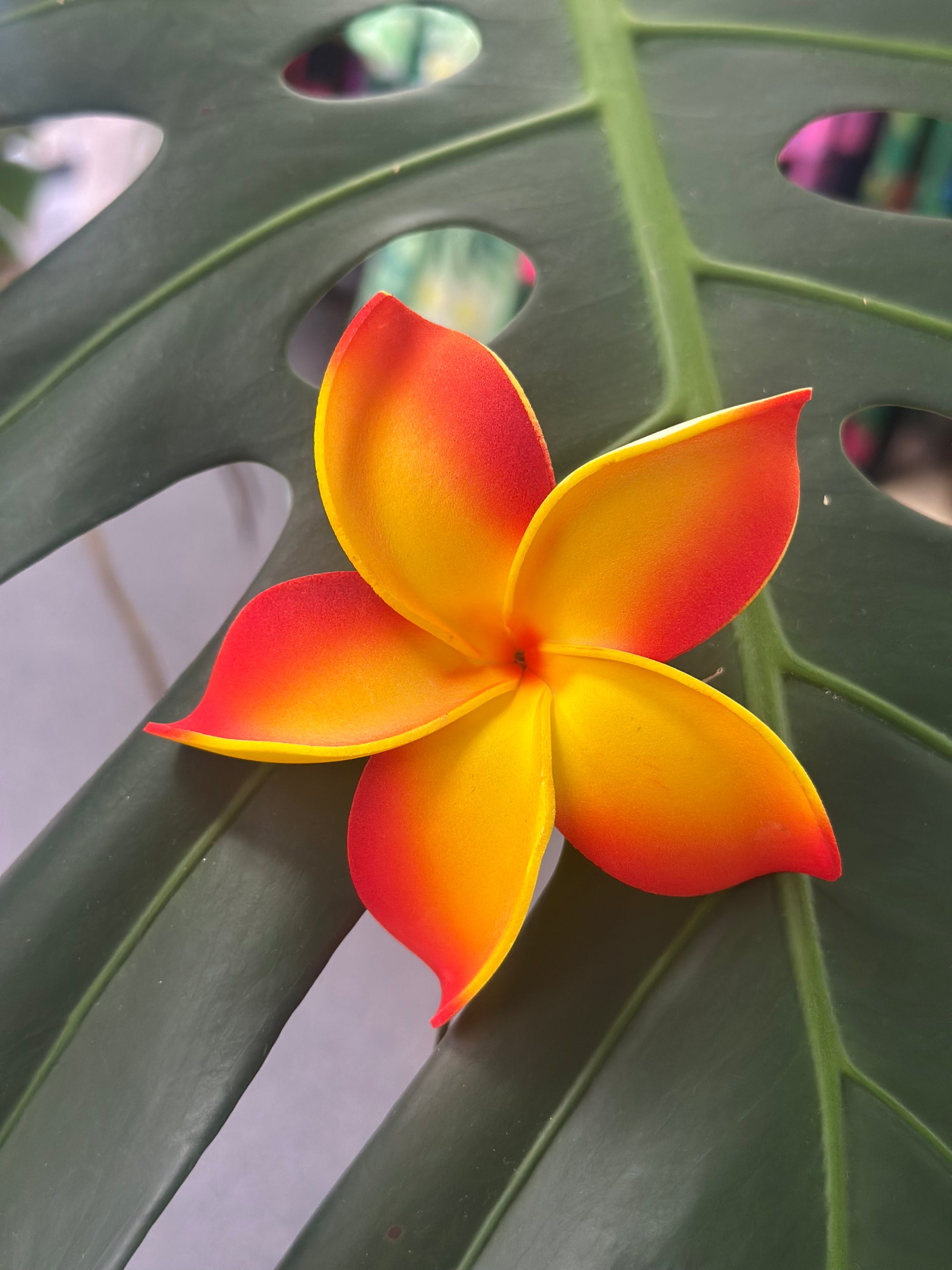 Orange and yellow flower with green leaves in the background