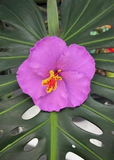 Hibiscus Hair Sei