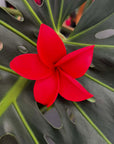 Frangipani Hair Sei